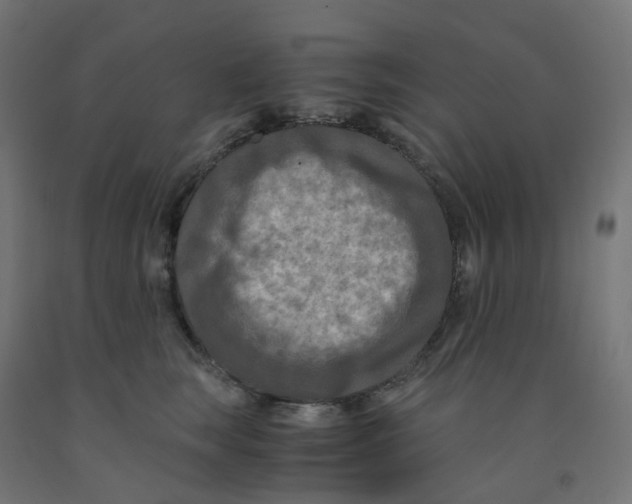 X0000091880663200710031743