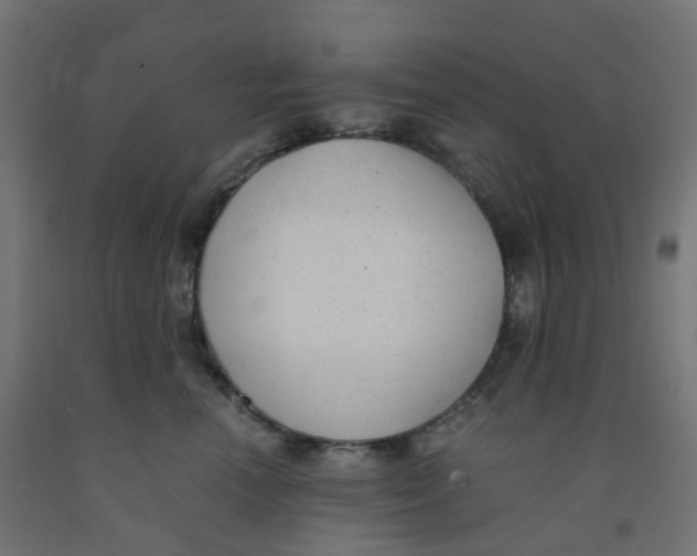 X0000091880666200710031743