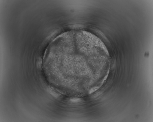 X0000091880669200710031743