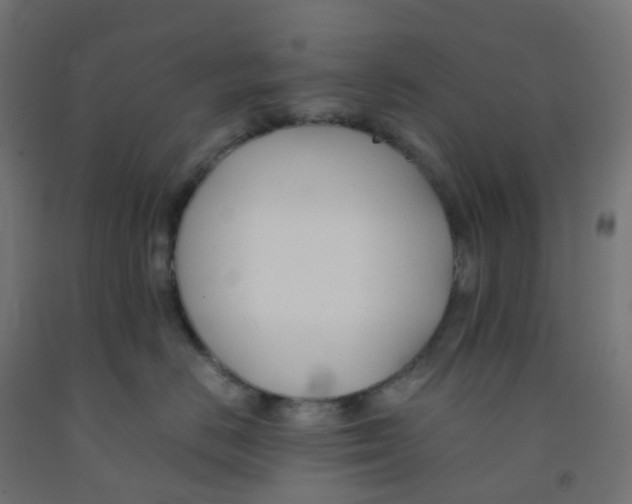 X0000091880670200710031743