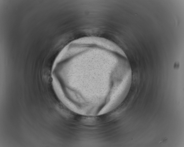 X0000091880671200710031743