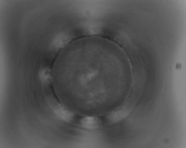 X0000091880672200710031743