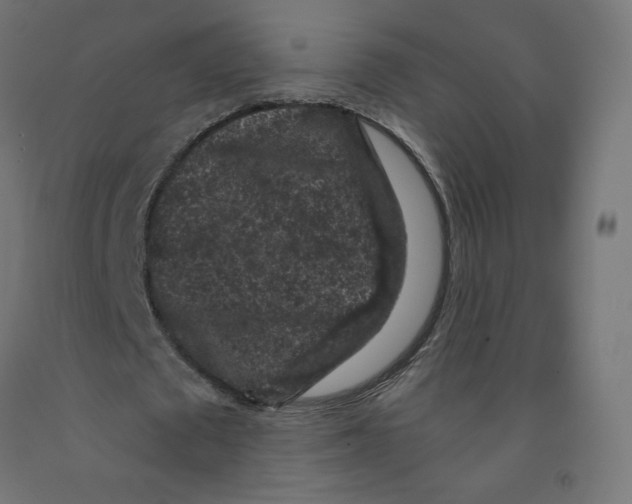 X0000091880673200710031742