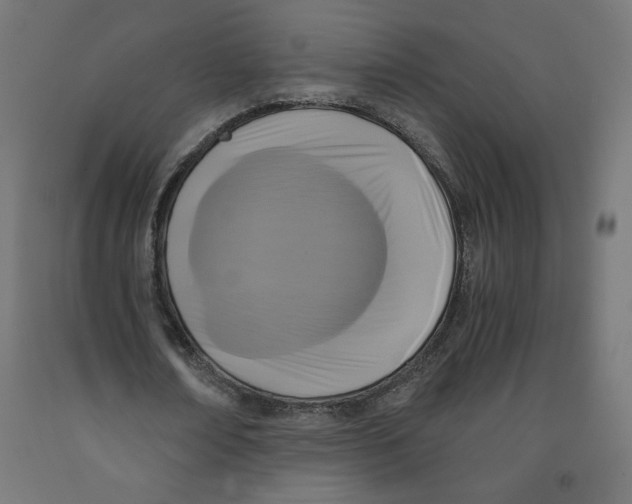 X0000091880674200710031742