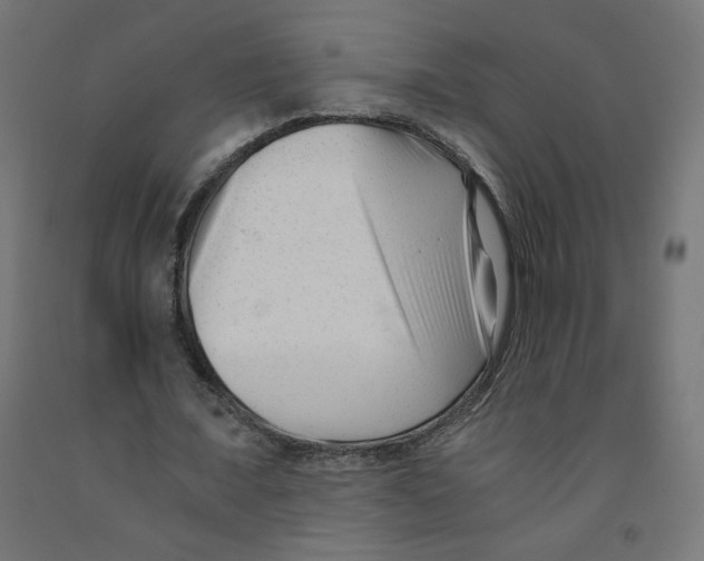 X0000091880675200710031742