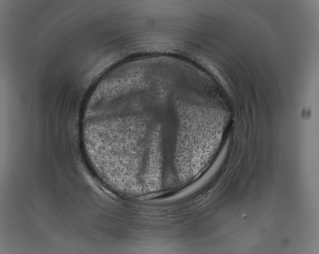 X0000091880677200710031742