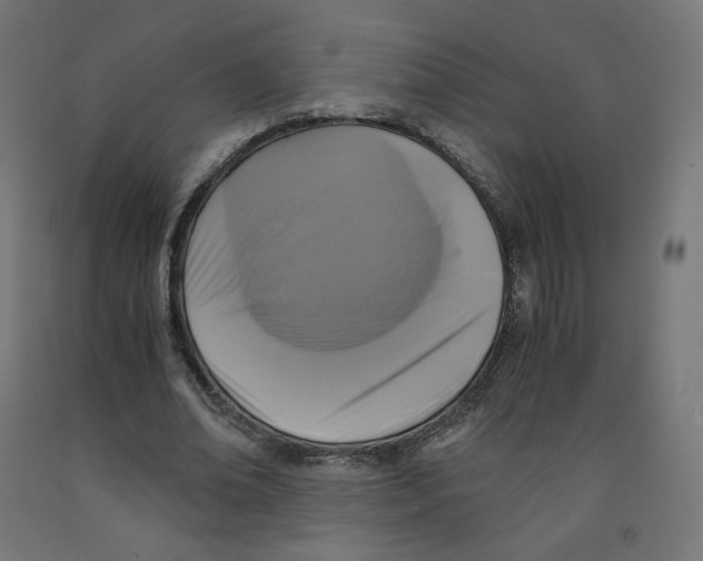 X0000091880678200710031742