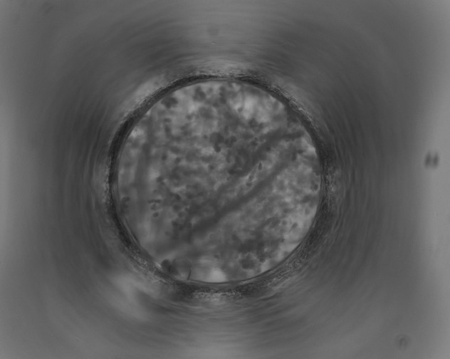 X0000091880679200710031742