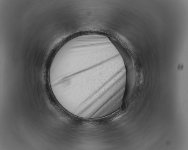 X0000091880680200710031742