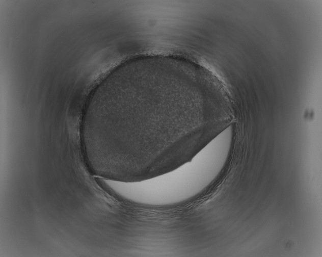 X0000091880681200710031742