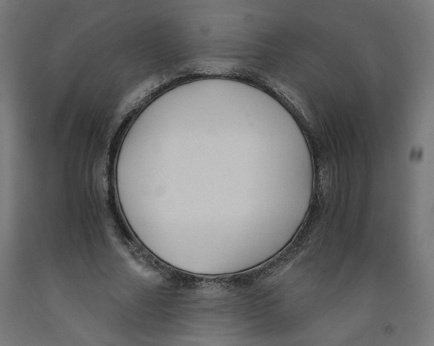 X0000091880682200710031742