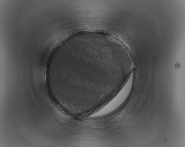 X0000091880685200710031742