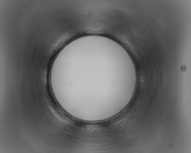 X0000091880686200710031742