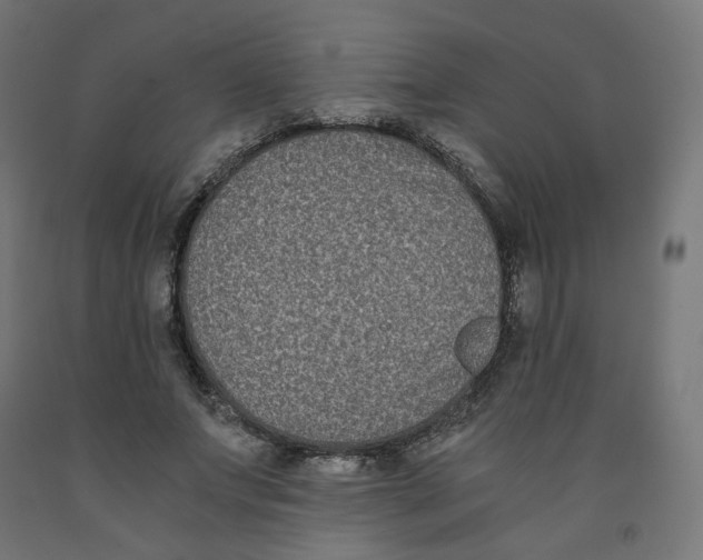 X0000091880687200710031742