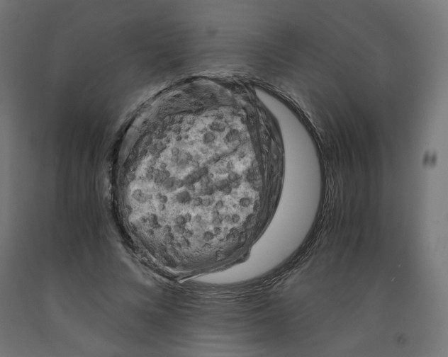 X0000091880688200710031742