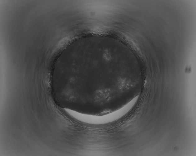 X0000091880689200710031742