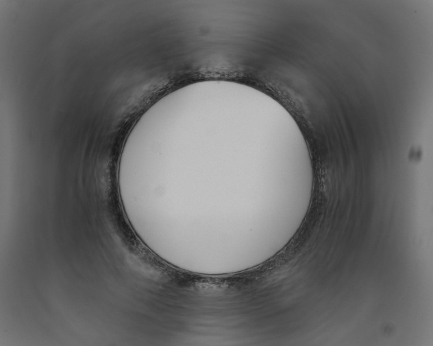 X0000091880690200710031742