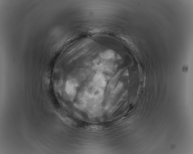 X0000091880691200710031742