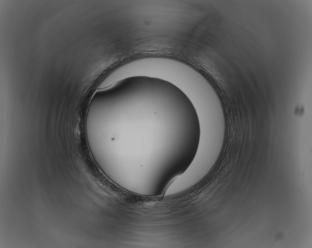 X0000091880692200710031742