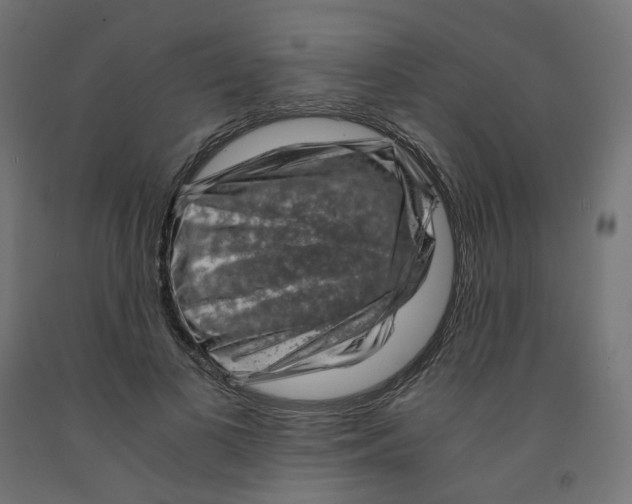 X0000091880693200710031742