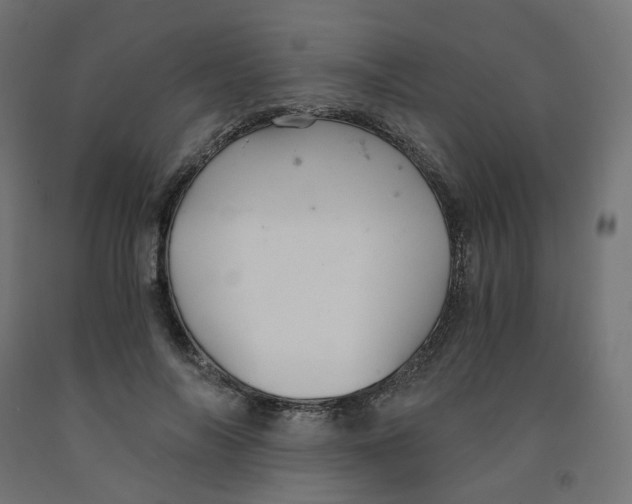 X0000091880694200710031742