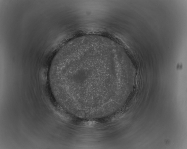 X0000091880695200710031742