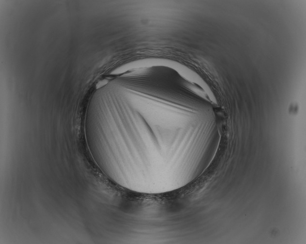 X0000091880697200710031742