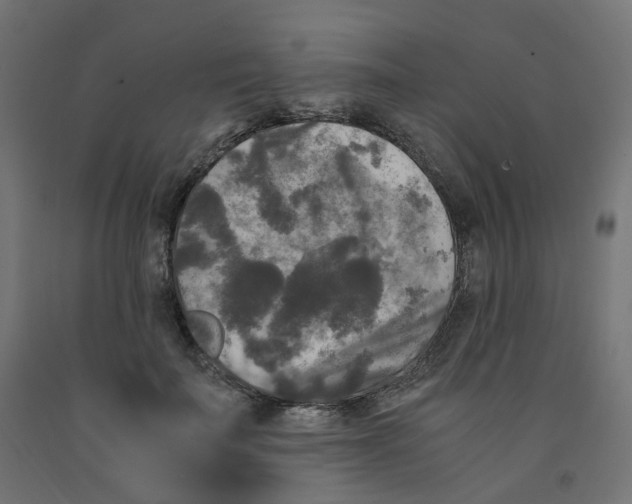 X0000091880699200710031742