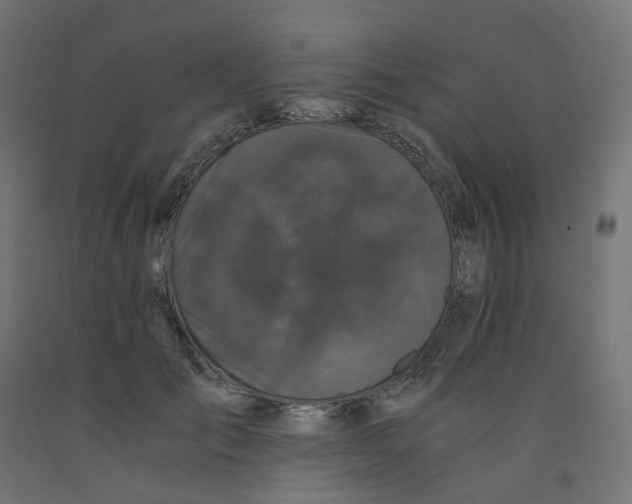 X0000091880701200710031742