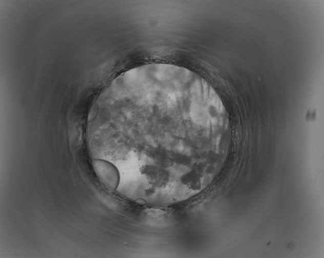 X0000091880703200710031741