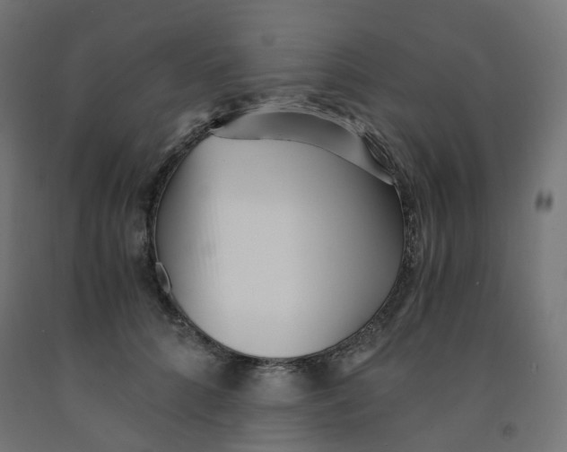 X0000091880704200710031741