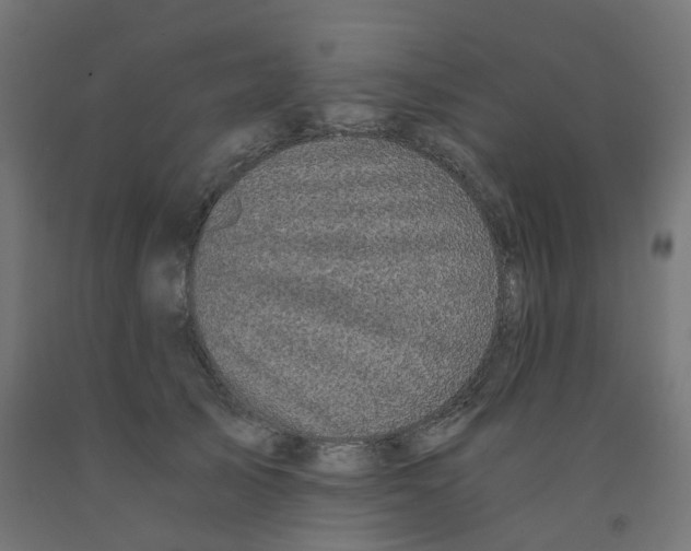 X0000091880705200710031741