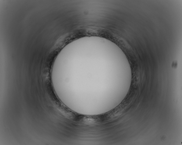 X0000091880706200710031741