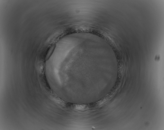 X0000091880709200710031741