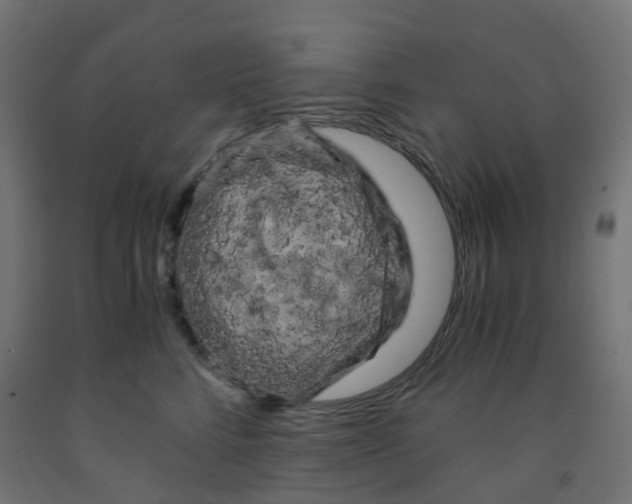 X0000091880712200710031741