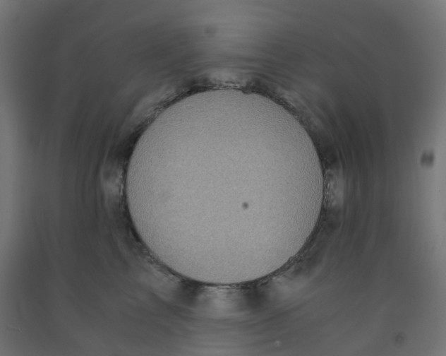 X0000091880713200710031741