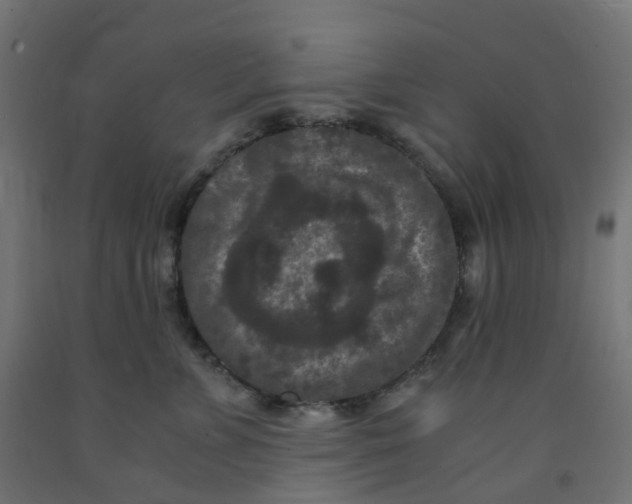 X0000091880715200710031741