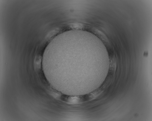 X0000091880717200710031741