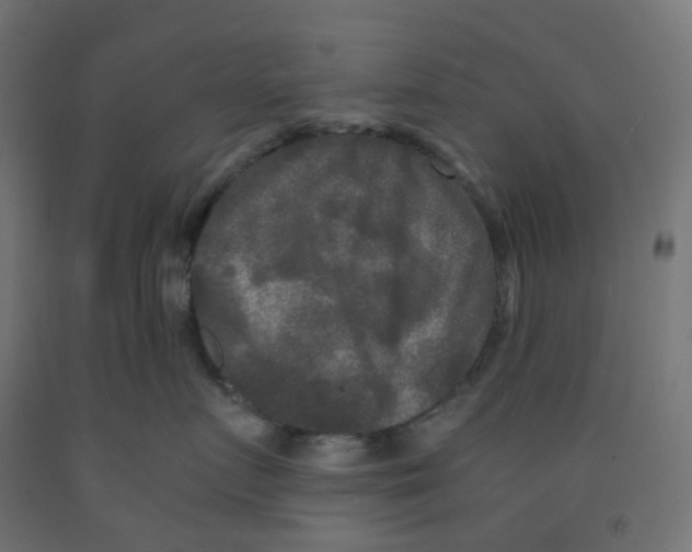 X0000091880719200710031741