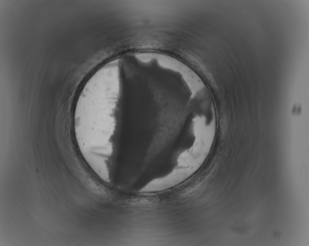 X0000091880721200710031741