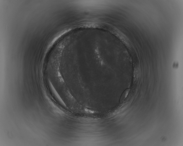 X0000091880722200710031741