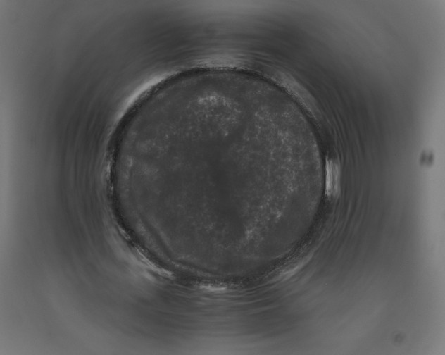 X0000091880723200710031741