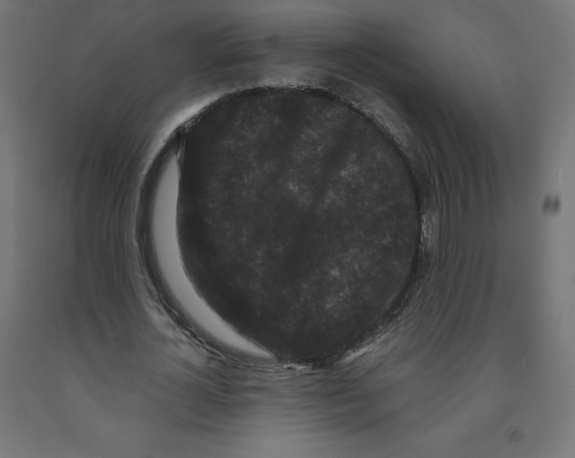 X0000091880724200710031741