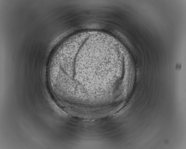 X0000091880725200710031741