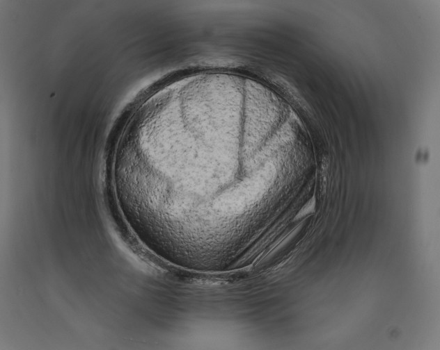 X0000091880726200710031741