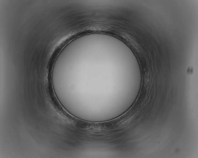 X0000091880727200710031741