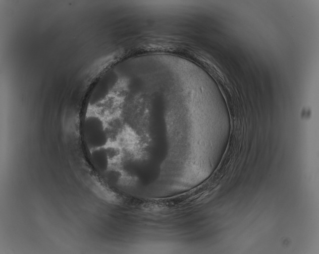 X0000091880729200710031741