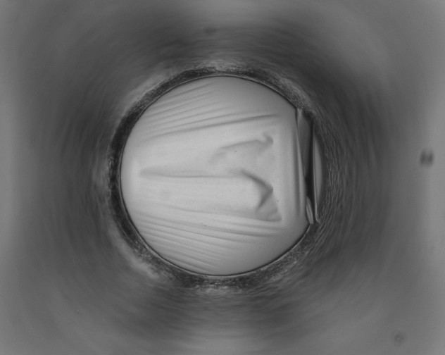 X0000091880730200710031741