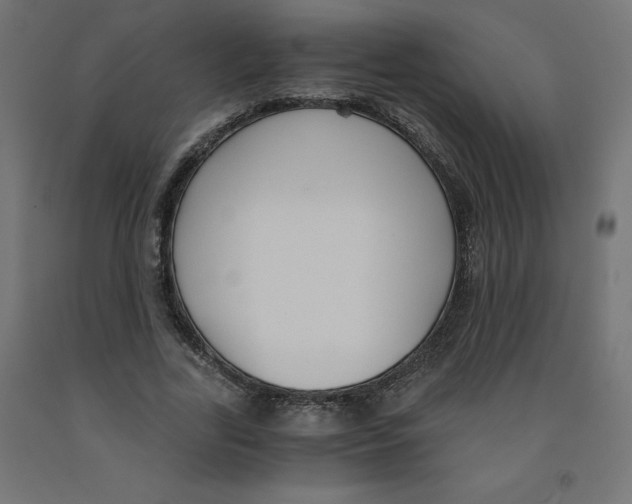 X0000091880731200710031741