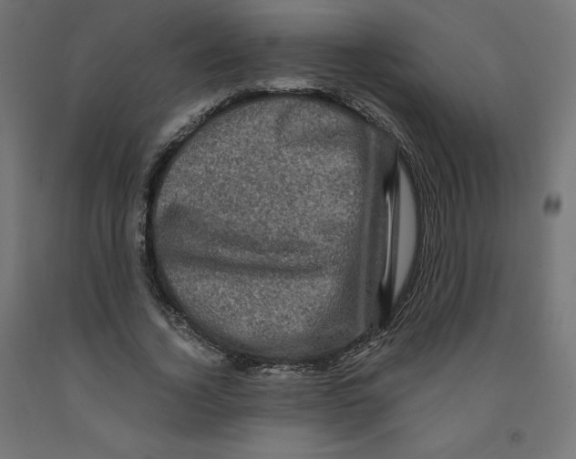 X0000091880732200710031741